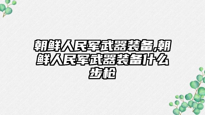 朝鮮人民軍武器裝備,朝鮮人民軍武器裝備什么步槍