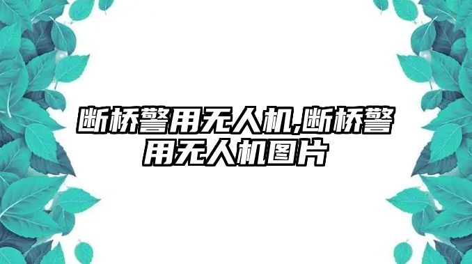 斷橋警用無人機,斷橋警用無人機圖片