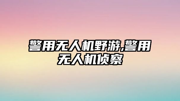 警用無人機野游,警用無人機偵察