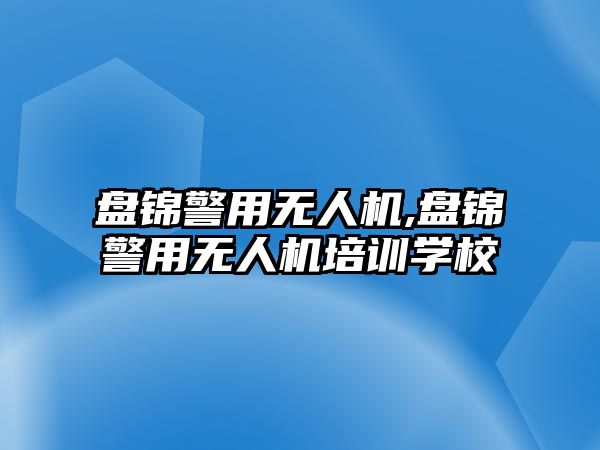 盤錦警用無人機,盤錦警用無人機培訓學校