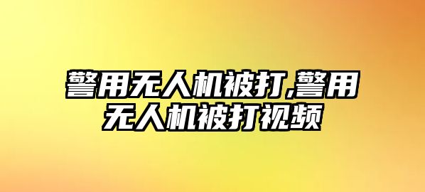 警用無人機被打,警用無人機被打視頻