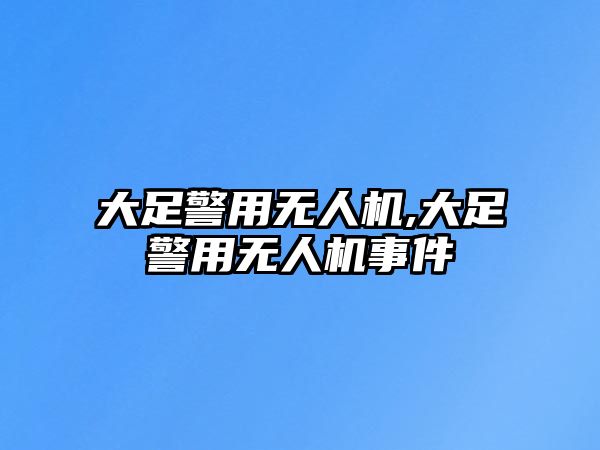 大足警用無(wú)人機(jī),大足警用無(wú)人機(jī)事件