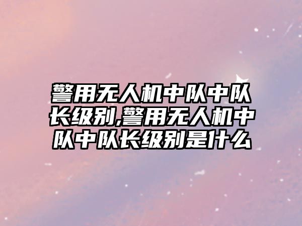 警用無人機中隊中隊長級別,警用無人機中隊中隊長級別是什么