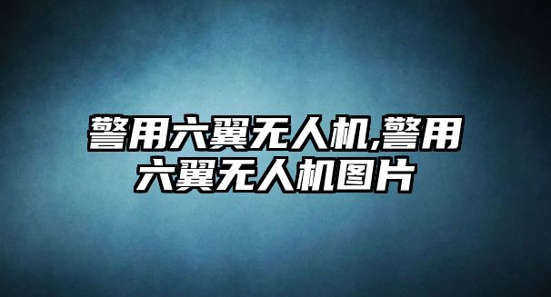 警用六翼無人機,警用六翼無人機圖片