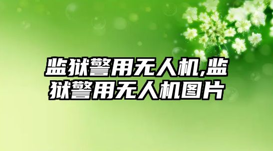 監獄警用無人機,監獄警用無人機圖片