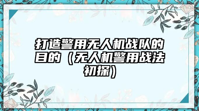 打造警用無人機戰隊的目的（無人機警用戰法初探）