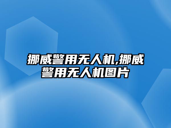 挪威警用無人機,挪威警用無人機圖片