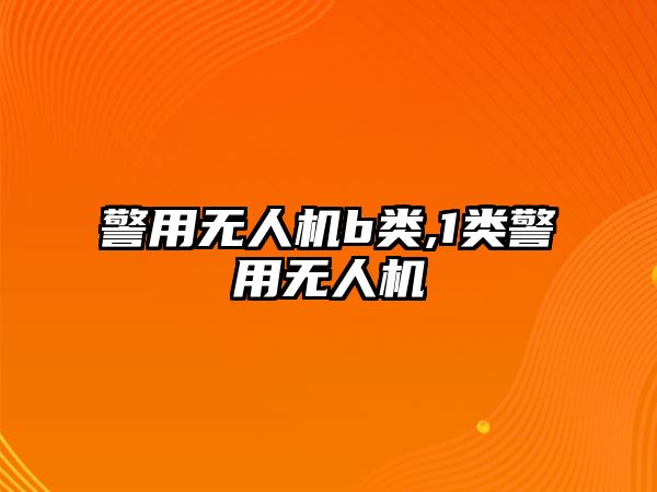 警用無人機b類,1類警用無人機