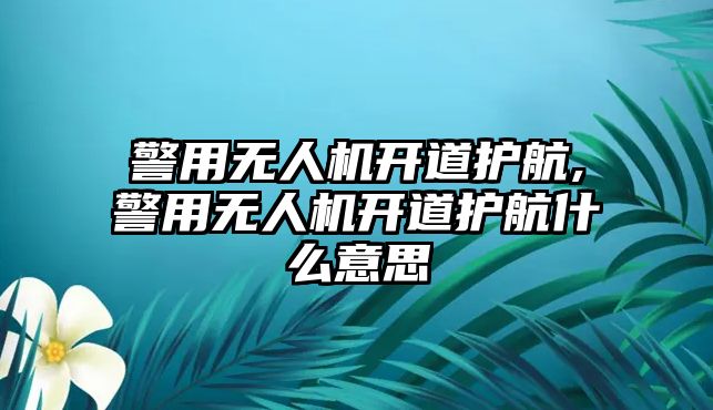 警用無人機(jī)開道護(hù)航,警用無人機(jī)開道護(hù)航什么意思