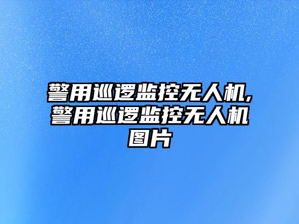 警用巡邏監控無人機,警用巡邏監控無人機圖片