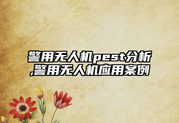 警用無人機pest分析,警用無人機應用案例