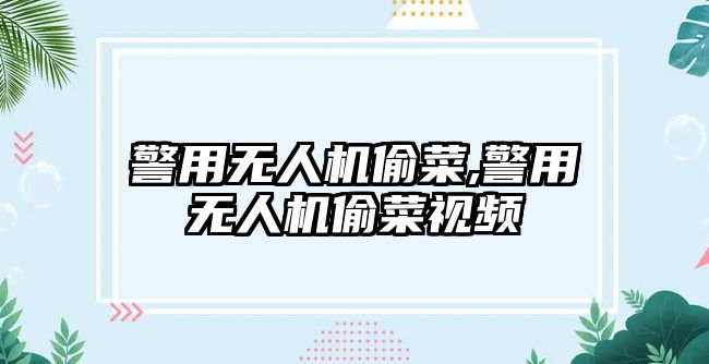 警用無人機偷菜,警用無人機偷菜視頻