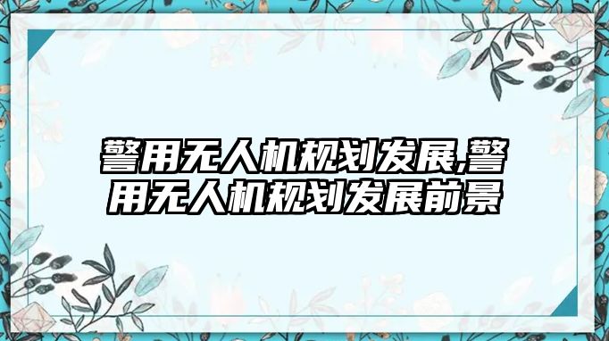 警用無人機規劃發展,警用無人機規劃發展前景