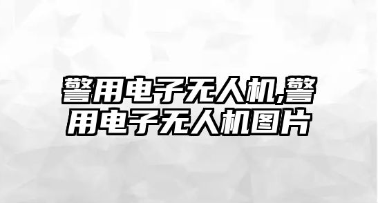 警用電子無人機,警用電子無人機圖片