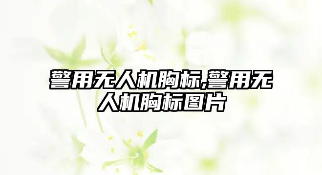 警用無人機胸標,警用無人機胸標圖片