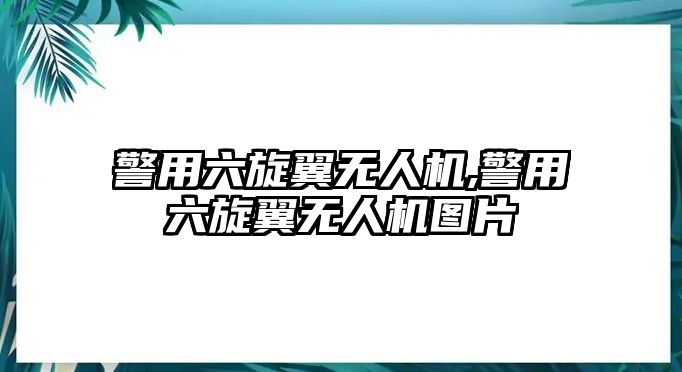 警用六旋翼無人機,警用六旋翼無人機圖片