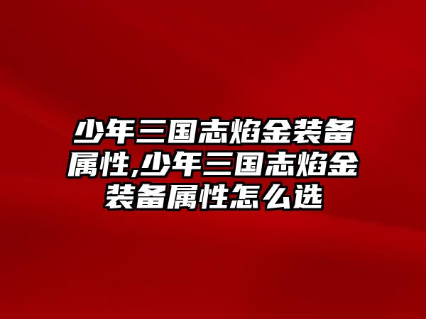 少年三國志焰金裝備屬性,少年三國志焰金裝備屬性怎么選