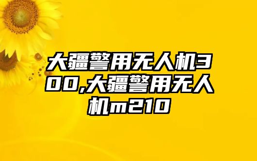 大疆警用無人機300,大疆警用無人機m210