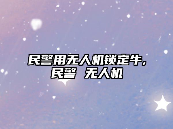 民警用無人機鎖定牛,民警 無人機