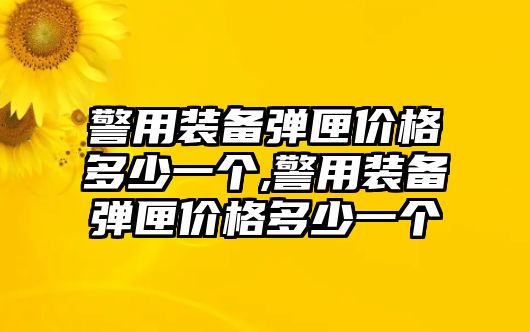 警用裝備彈匣價(jià)格多少一個(gè),警用裝備彈匣價(jià)格多少一個(gè)