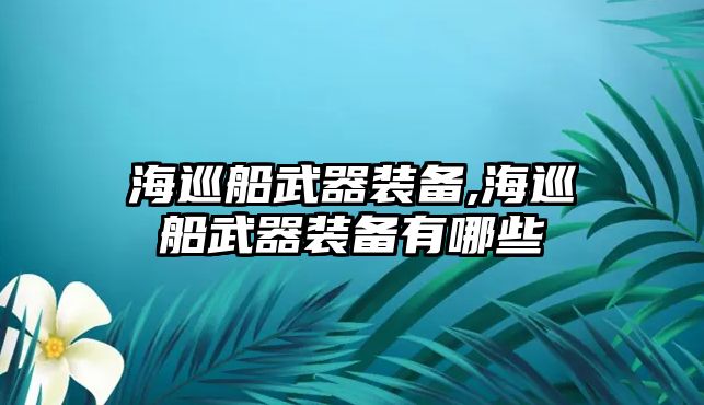 海巡船武器裝備,海巡船武器裝備有哪些