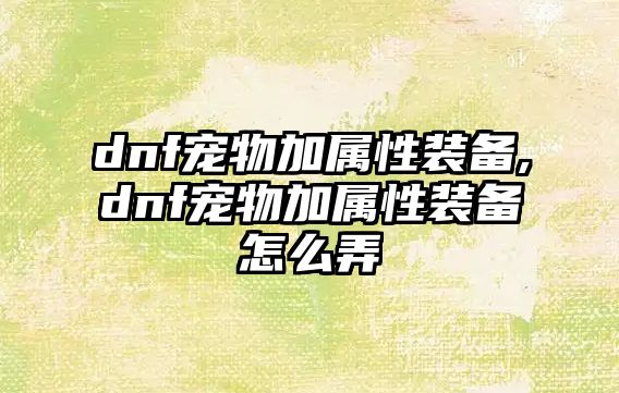 dnf寵物加屬性裝備,dnf寵物加屬性裝備怎么弄