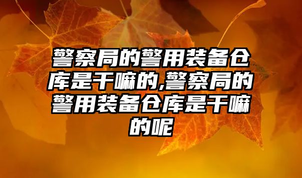 警察局的警用裝備倉庫是干嘛的,警察局的警用裝備倉庫是干嘛的呢