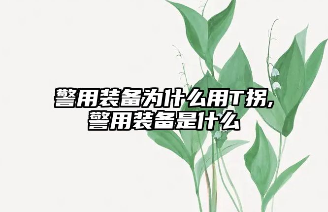 警用裝備為什么用T拐,警用裝備是什么