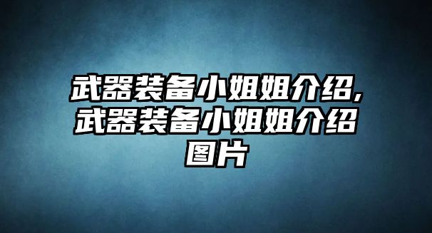 武器裝備小姐姐介紹,武器裝備小姐姐介紹圖片