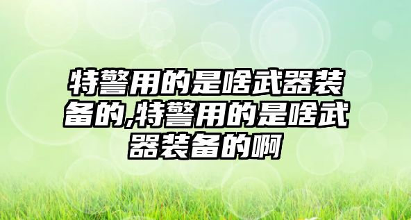 特警用的是啥武器裝備的,特警用的是啥武器裝備的啊