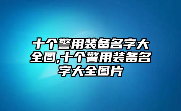 十個(gè)警用裝備名字大全圖,十個(gè)警用裝備名字大全圖片