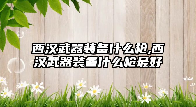 西漢武器裝備什么槍,西漢武器裝備什么槍最好