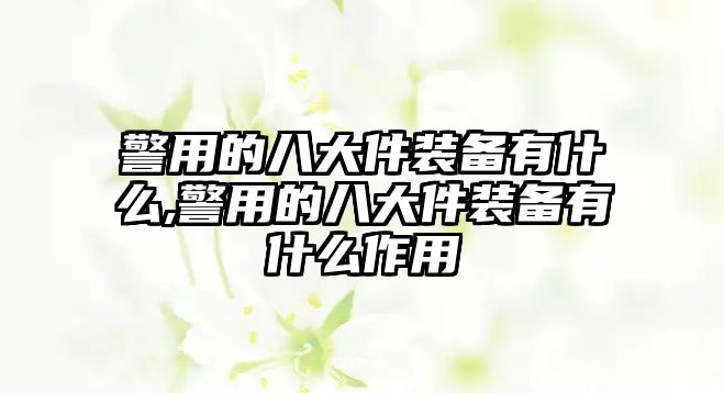 警用的八大件裝備有什么,警用的八大件裝備有什么作用