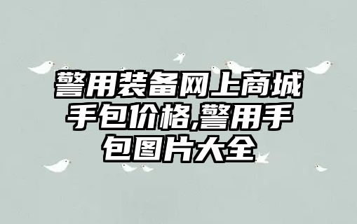 警用裝備網上商城手包價格,警用手包圖片大全