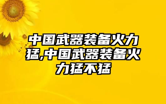 中國武器裝備火力猛,中國武器裝備火力猛不猛