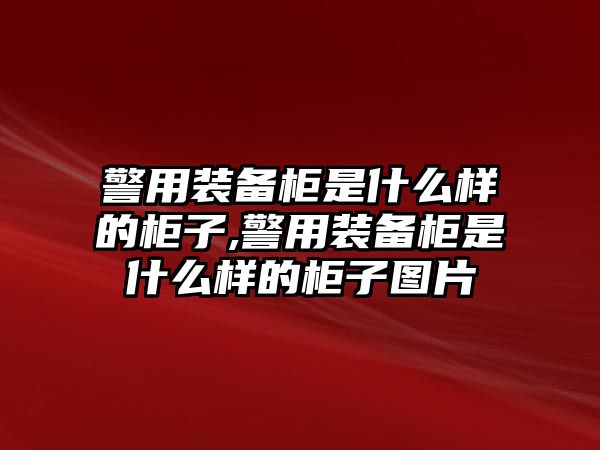 警用裝備柜是什么樣的柜子,警用裝備柜是什么樣的柜子圖片