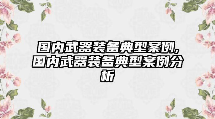 國內(nèi)武器裝備典型案例,國內(nèi)武器裝備典型案例分析