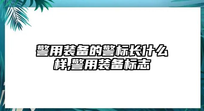 警用裝備的警標長什么樣,警用裝備標志