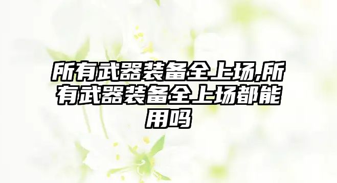 所有武器裝備全上場,所有武器裝備全上場都能用嗎