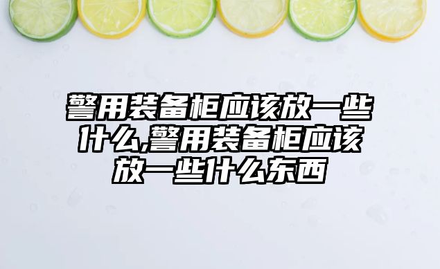 警用裝備柜應(yīng)該放一些什么,警用裝備柜應(yīng)該放一些什么東西