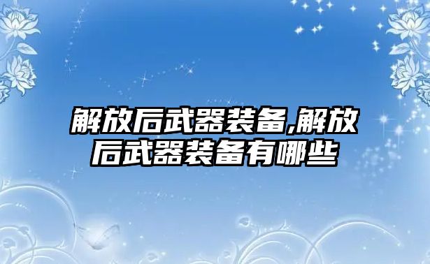 解放后武器裝備,解放后武器裝備有哪些