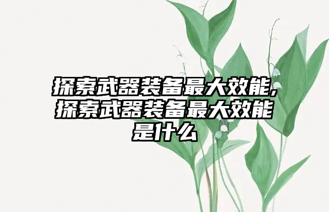 探索武器裝備最大效能,探索武器裝備最大效能是什么