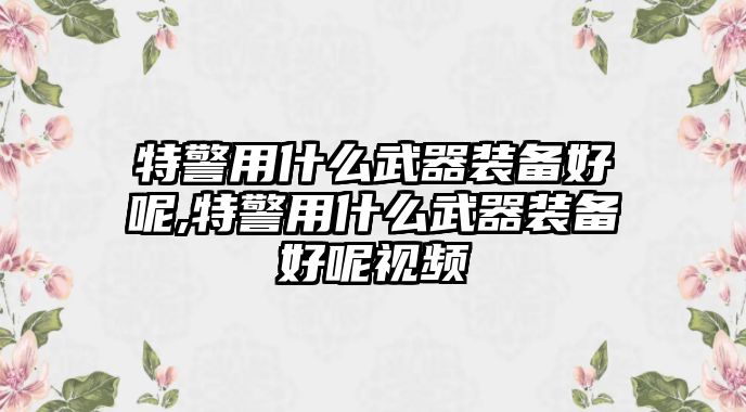 特警用什么武器裝備好呢,特警用什么武器裝備好呢視頻