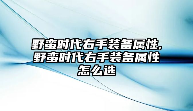 野蠻時代右手裝備屬性,野蠻時代右手裝備屬性怎么選