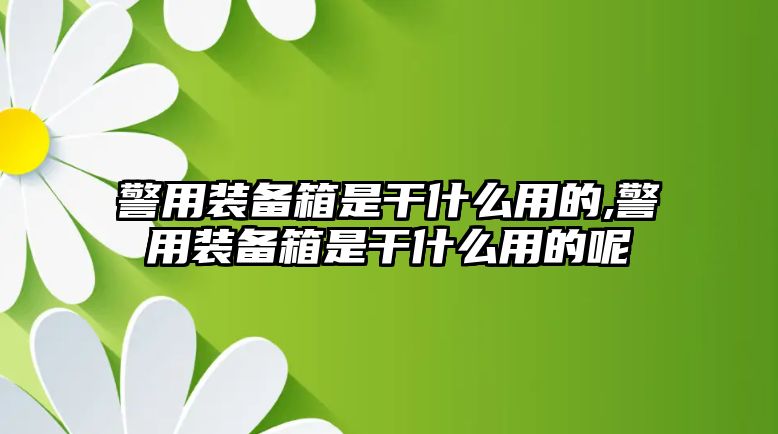 警用裝備箱是干什么用的,警用裝備箱是干什么用的呢