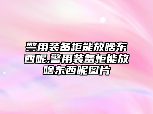 警用裝備柜能放啥東西呢,警用裝備柜能放啥東西呢圖片