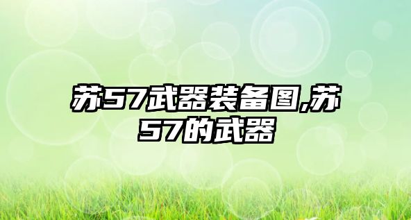 蘇57武器裝備圖,蘇57的武器