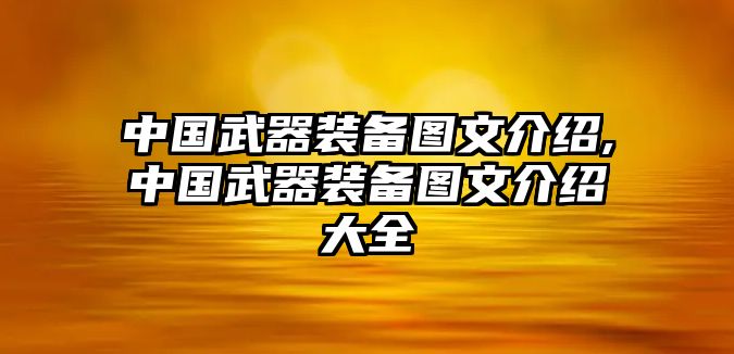 中國武器裝備圖文介紹,中國武器裝備圖文介紹大全