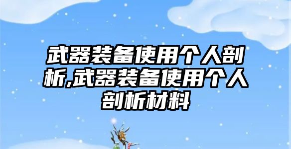 武器裝備使用個人剖析,武器裝備使用個人剖析材料