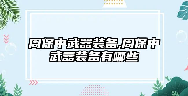 周保中武器裝備,周保中武器裝備有哪些